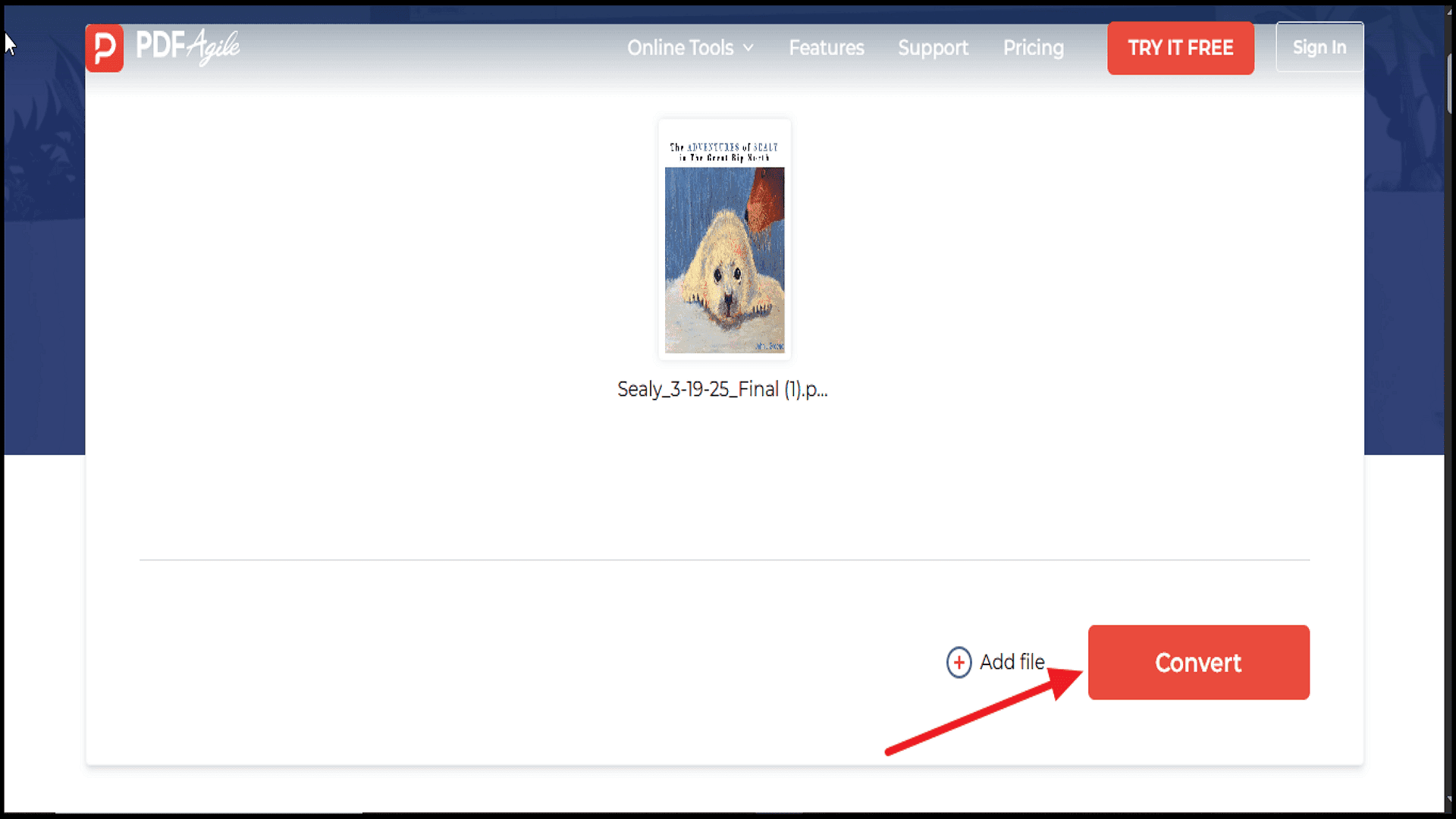 Step 3 Convert Your File.png