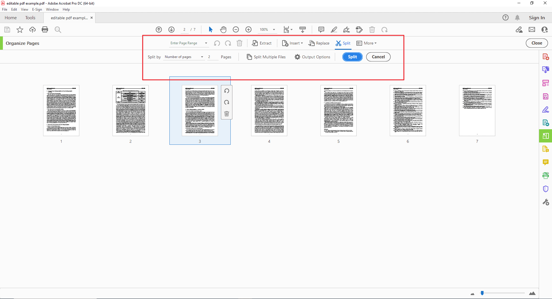 Step 3 Splitting by Page Range