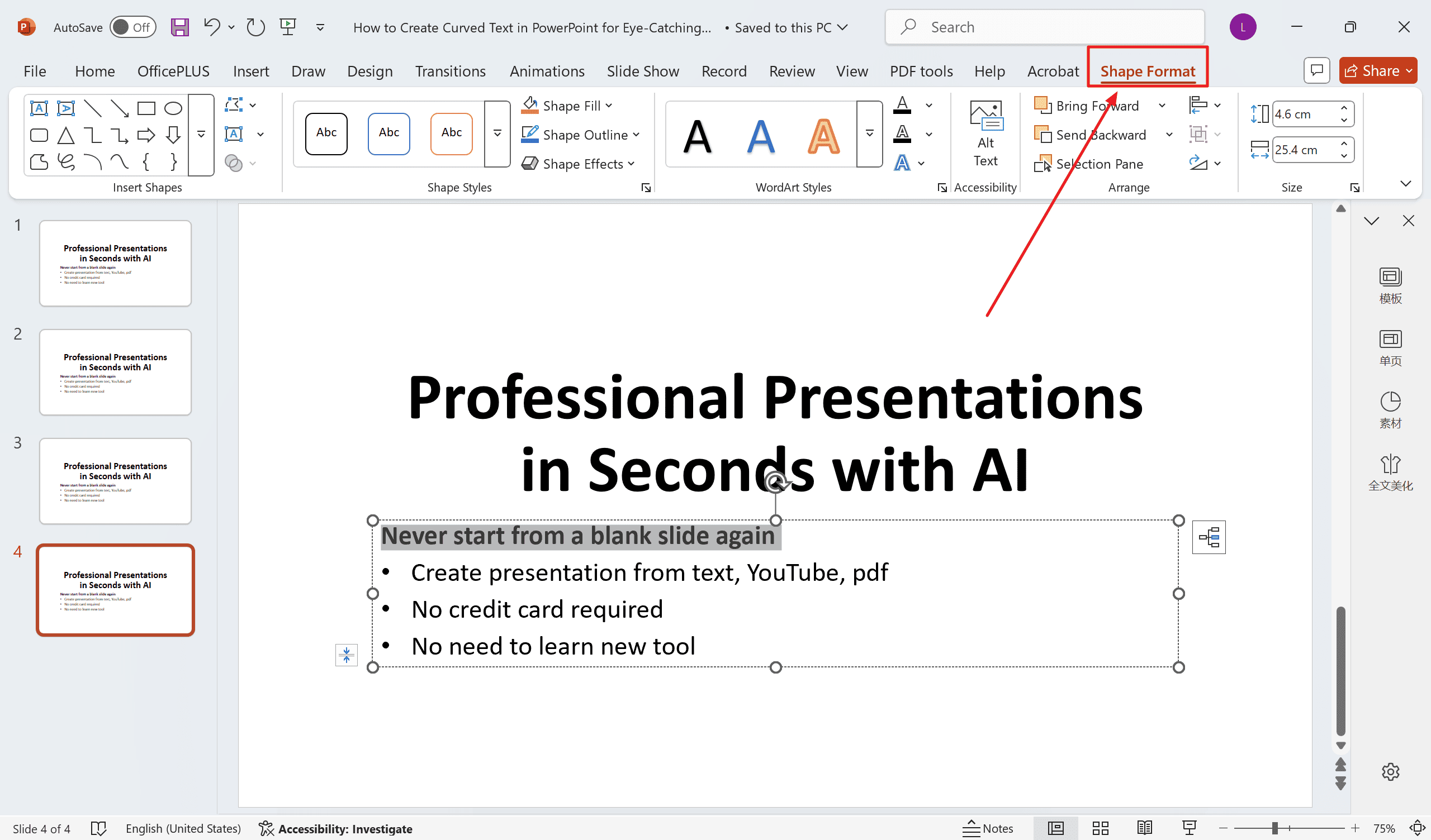 Step 4 Access Format Options.png