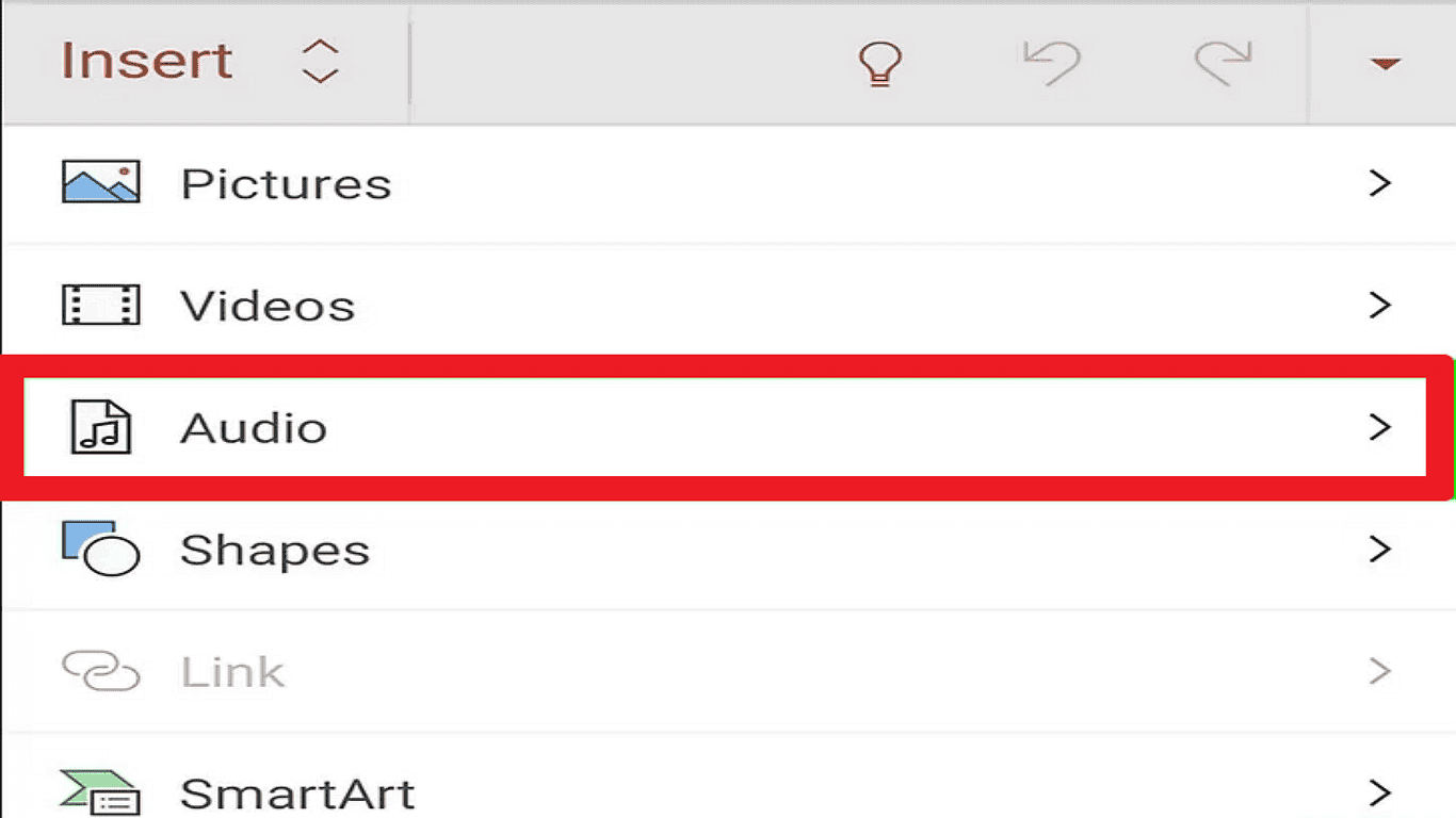Step 5 Choose the Audio Option.png
