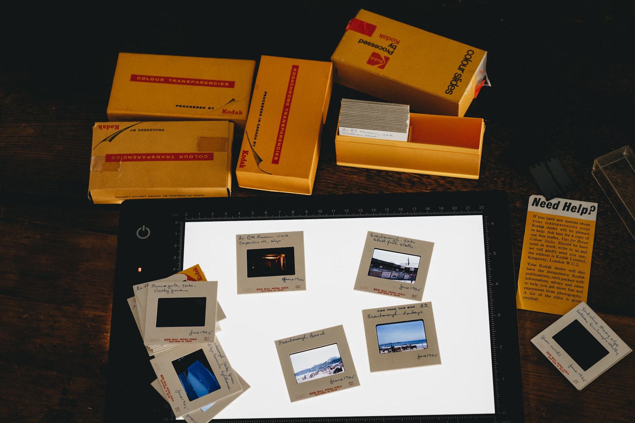 The Popularity of JPEG and JPG file extensions