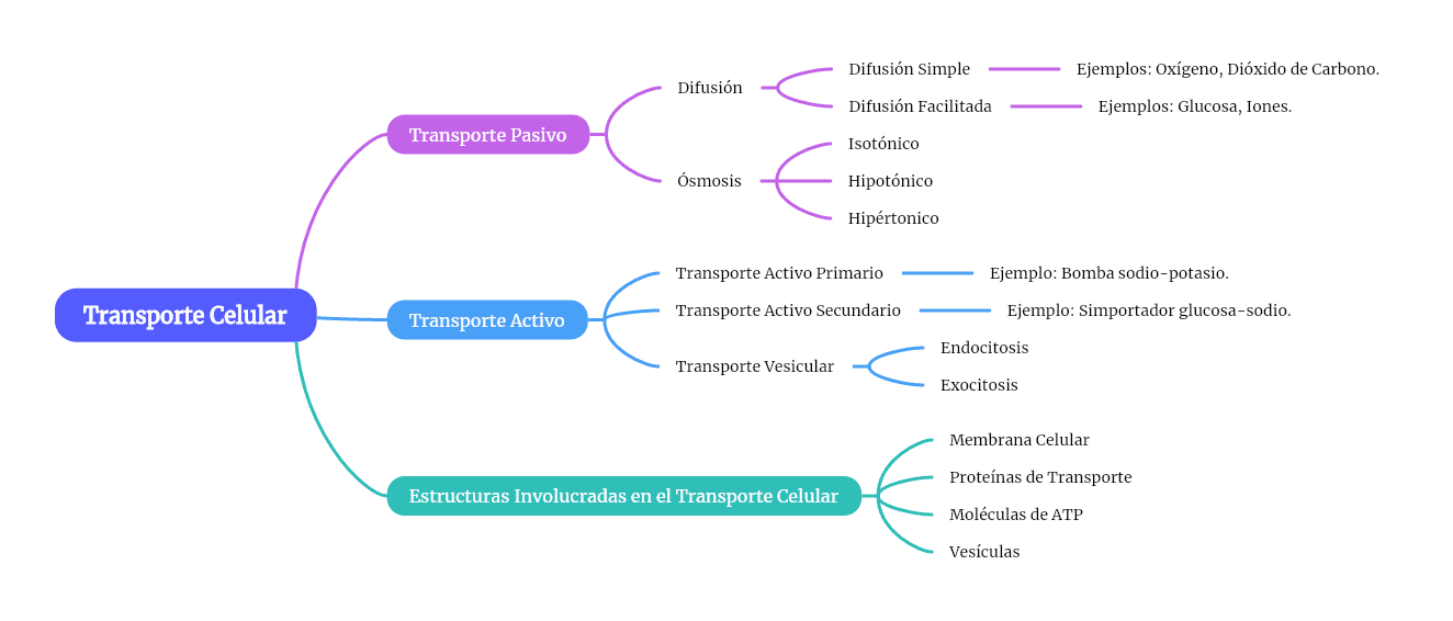 Transporte Celular parte 1.png
