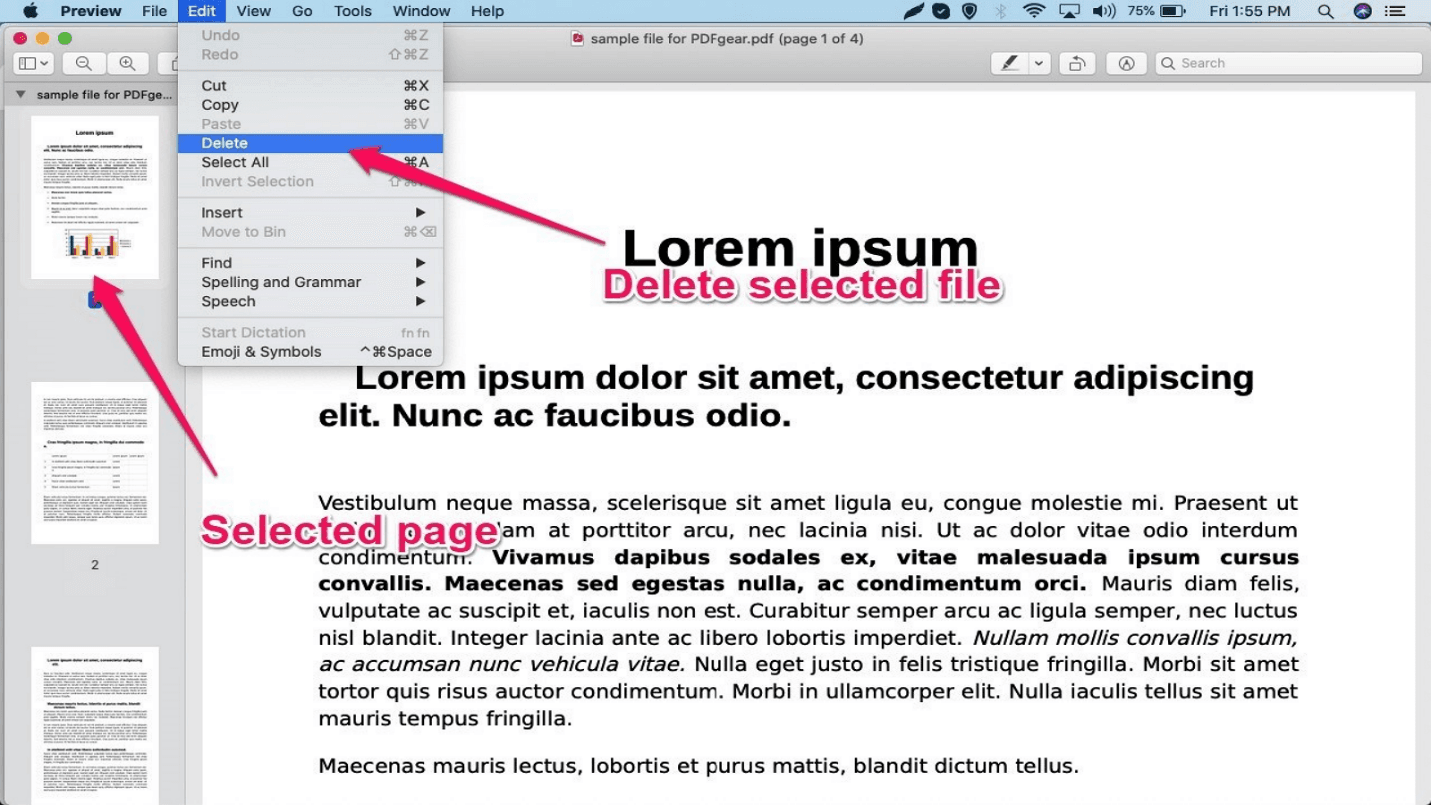 Using Preview (Mac's built-in PDF viewer)