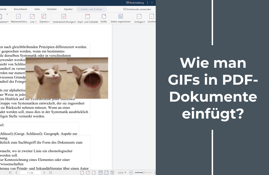 Wie man GIFs in PDF-Dokumente einfügt 1140X744