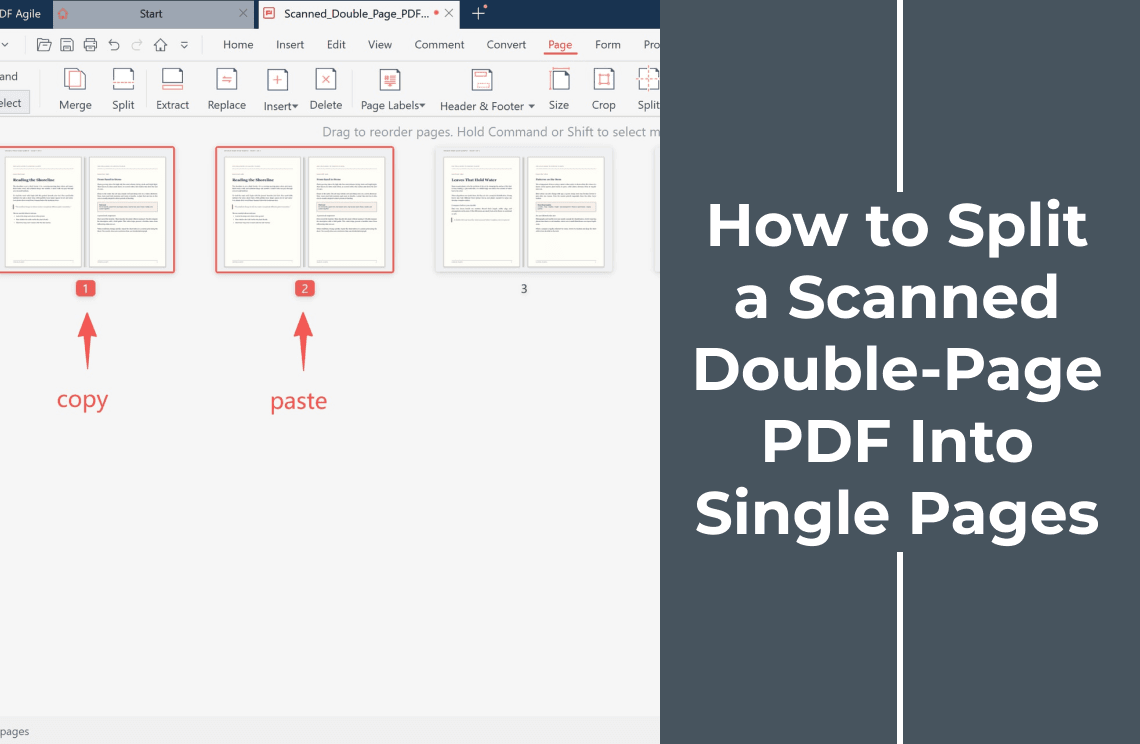 how-to-split-scanned-double-page-pdf-into-individual-pages-cover