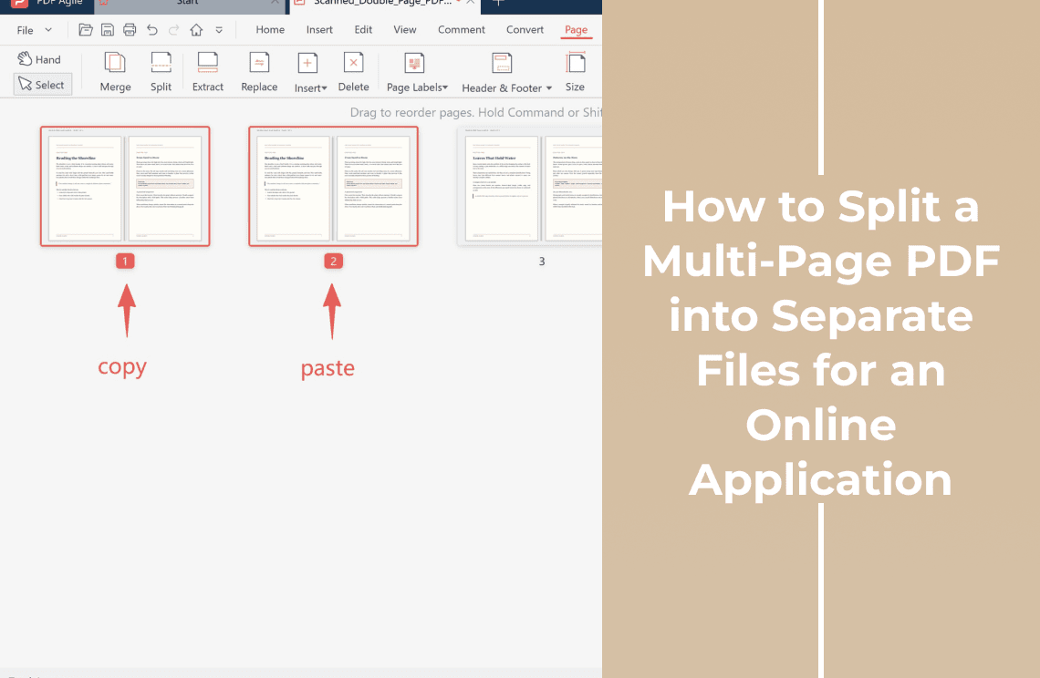 how-to-split-a-multi-page-pdf-for-an-online-application-cover