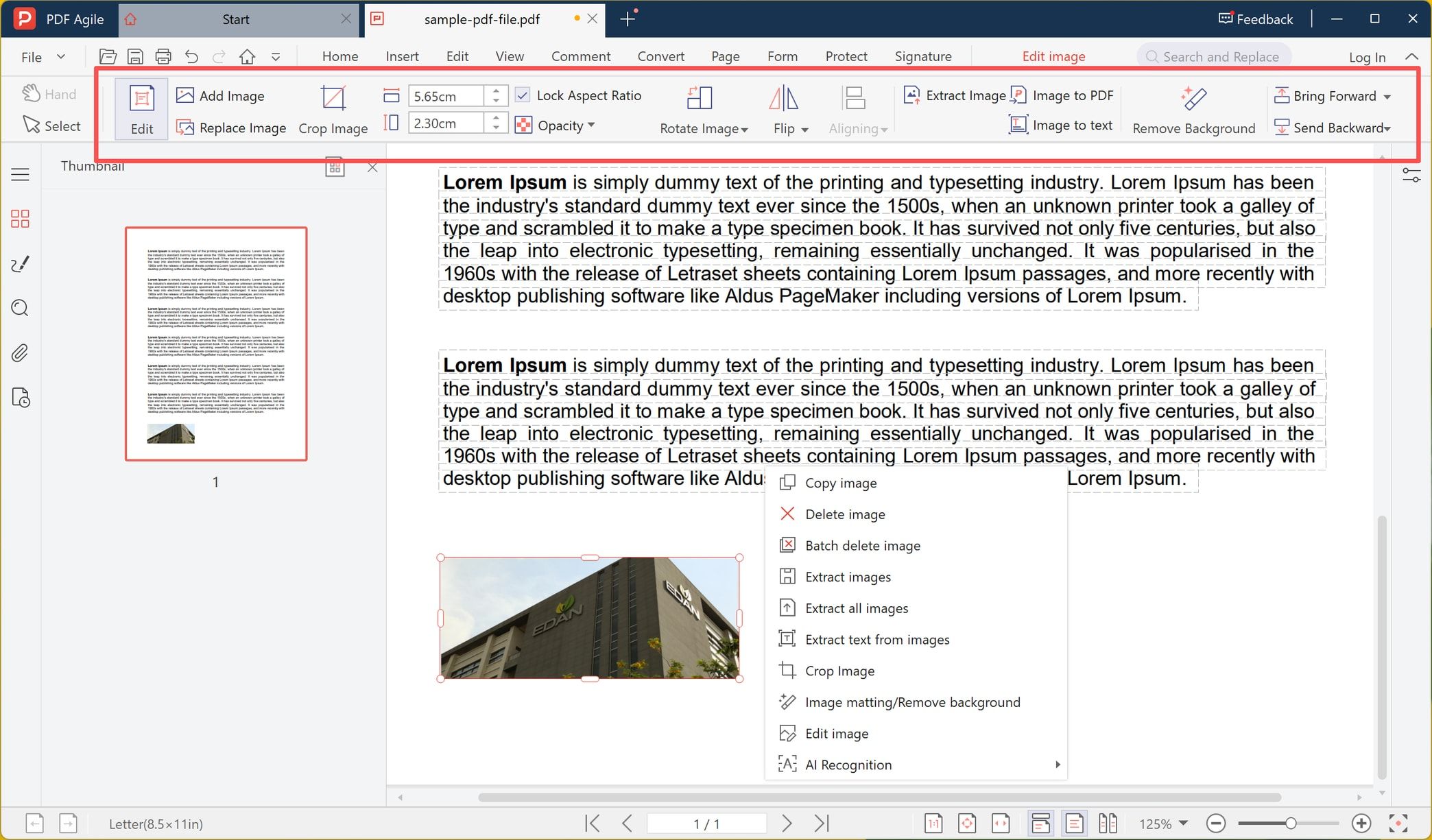 Edit image toolbar with Replace Image, crop, size boxes, Lock Aspect Ratio, rotate, flip and layer controls