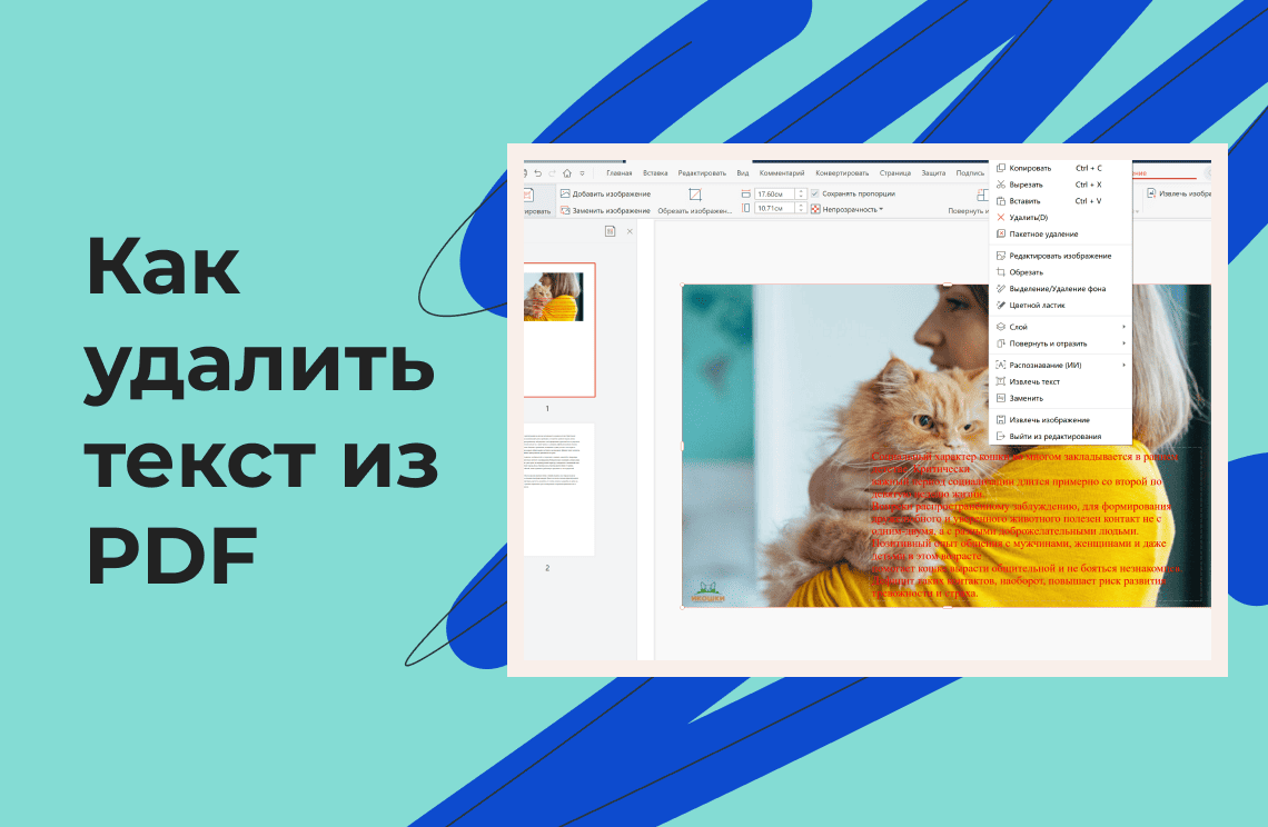 how-to-remove-text-from-a-pdf-ru