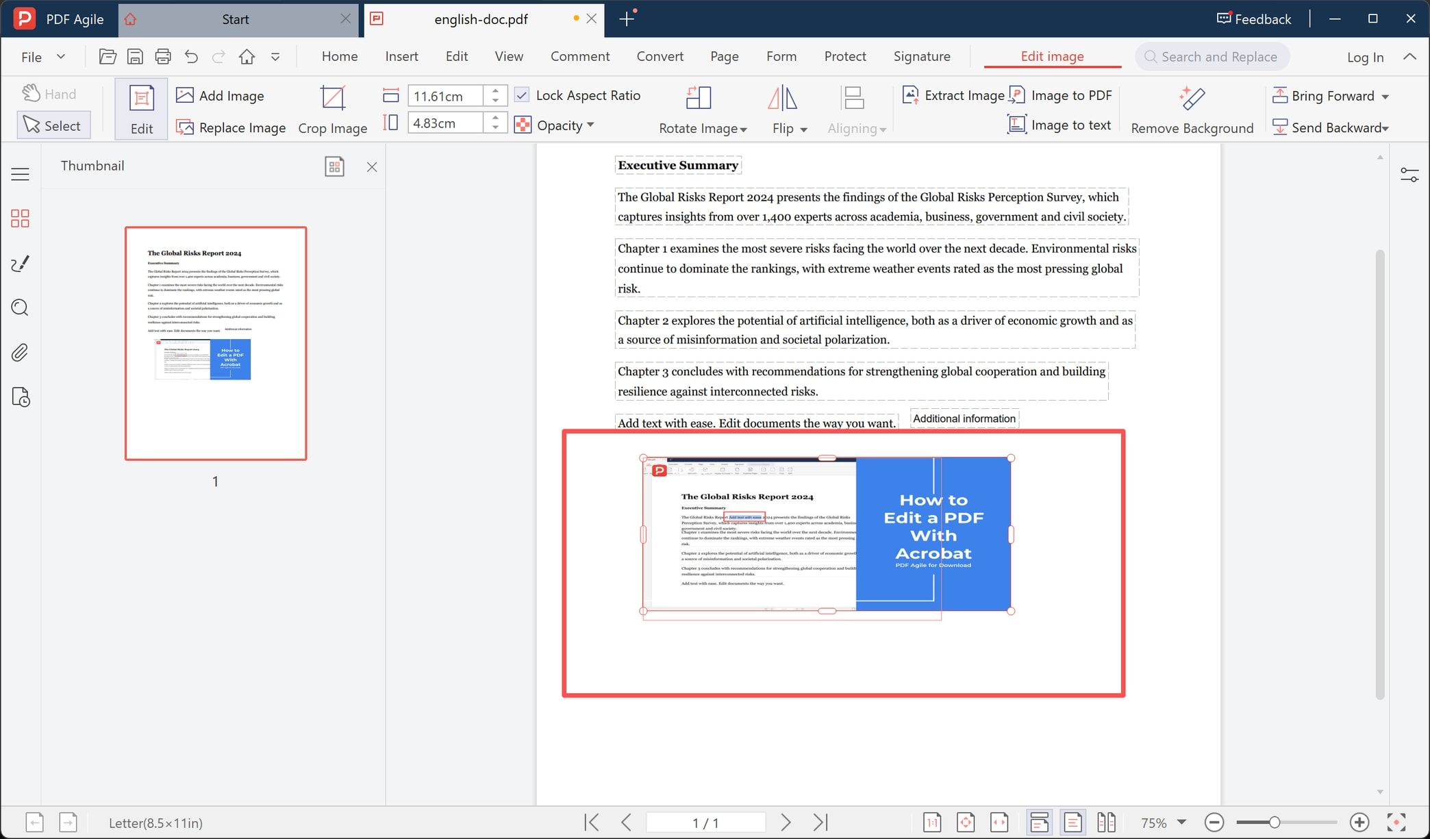 Inserted image selected with the Edit image toolbar showing size, crop, and layering controls