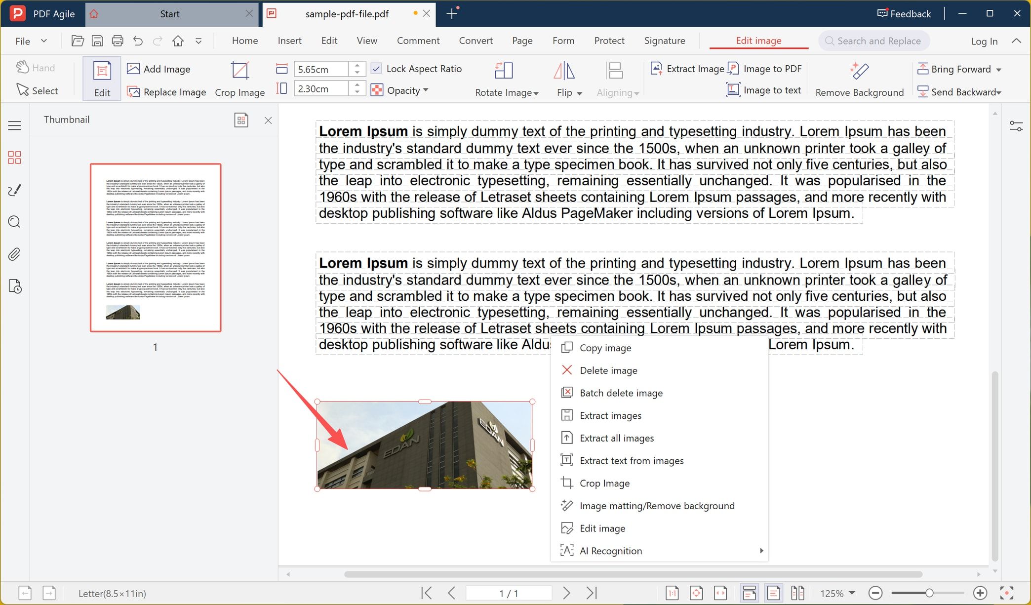 An image selected inside a PDF, showing the Edit image tab and an image-only context menu